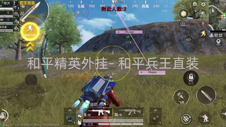 和平精英外挂- 和平兵王直装，功能揭秘与使用教程全解析