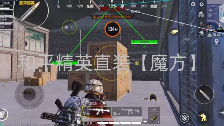 和平精英直装【魔方】