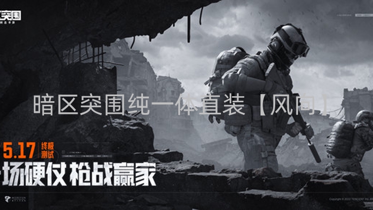 暗区突围纯一体直装【风向】