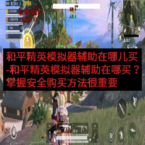 和平精英模拟器辅助在哪儿买-和平精英模拟器辅助在哪买？掌握安全购买方法很重要