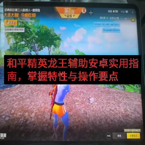 和平精英龙王辅助安卓实用指南，掌握特性与操作要点