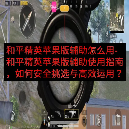 和平精英苹果版辅助怎么用-和平精英苹果版辅助使用指南，如何安全挑选与高效运用？