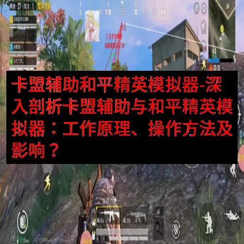 卡盟辅助和平精英模拟器-深入剖析卡盟辅助与和平精英模拟器：工作原理、操作方法及影响？