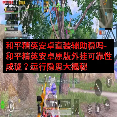 和平精英安卓直装辅助稳吗-和平精英安卓原版外挂可靠性成谜？运行隐患大揭秘