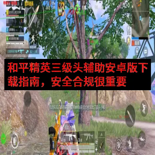 和平精英三级头辅助安卓版下载指南，安全合规很重要