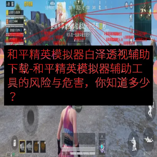和平精英模拟器白泽透视辅助下载-和平精英模拟器辅助工具的风险与危害，你知道多少？