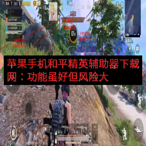 苹果手机和平精英辅助器下载网：功能虽好但风险大