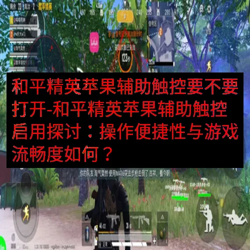 和平精英苹果辅助触控要不要打开-和平精英苹果辅助触控启用探讨：操作便捷性与游戏流畅度如何？