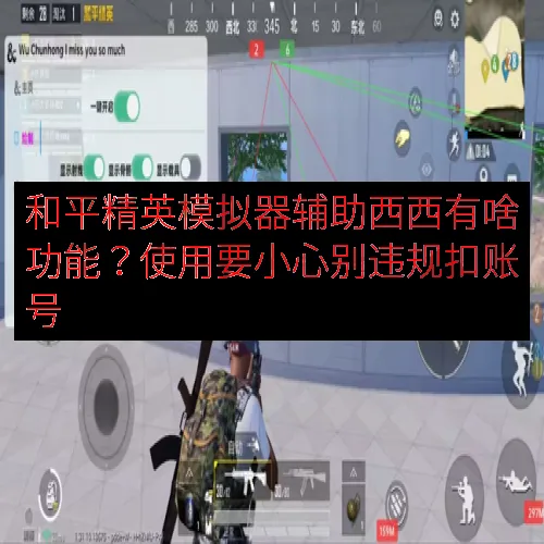 和平精英模拟器辅助西西有啥功能？使用要小心别违规扣账号