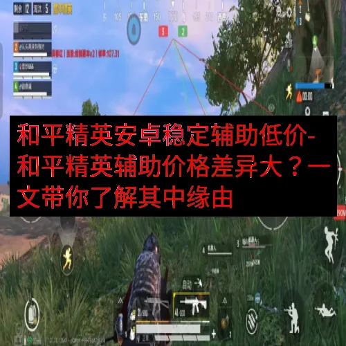 和平精英安卓稳定辅助低价-和平精英辅助价格差异大？一文带你了解其中缘由