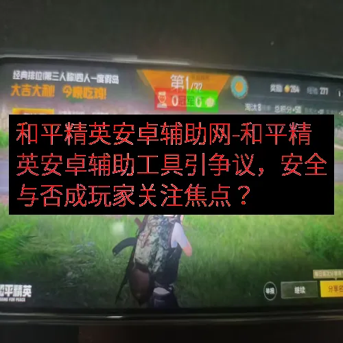 和平精英安卓辅助网-和平精英安卓辅助工具引争议，安全与否成玩家关注焦点？