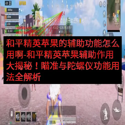 和平精英苹果的辅助功能怎么用啊-和平精英苹果辅助作用大揭秘！瞄准与陀螺仪功能用法全解析
