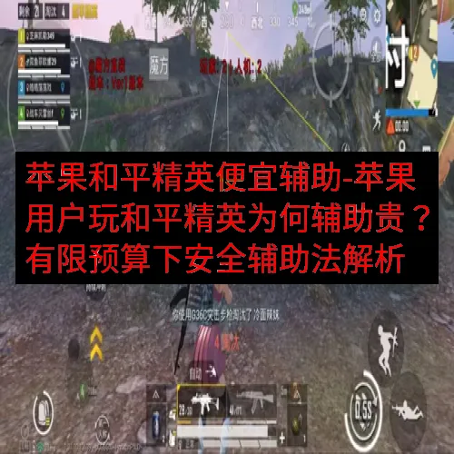 苹果和平精英便宜辅助-苹果用户玩和平精英为何辅助贵？有限预算下安全辅助法解析