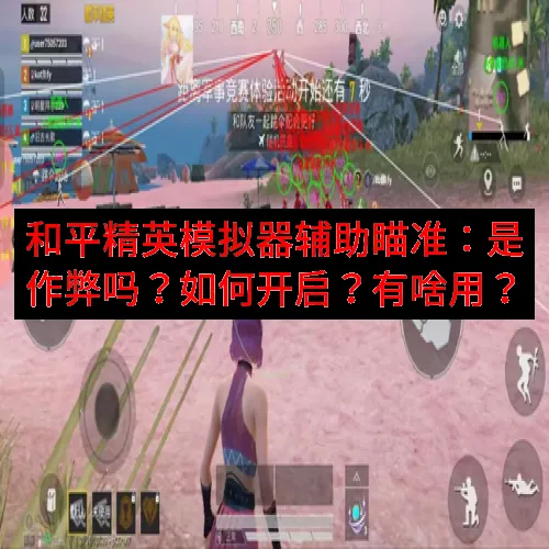 和平精英模拟器辅助瞄准：是作弊吗？如何开启？有啥用？