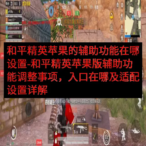 和平精英苹果的辅助功能在哪设置-和平精英苹果版辅助功能调整事项，入口在哪及适配设置详解
