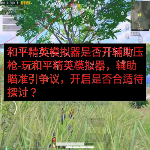 和平精英模拟器是否开辅助压枪-玩和平精英模拟器，辅助瞄准引争议，开启是否合适待探讨？