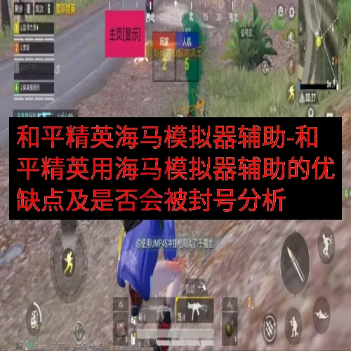 和平精英海马模拟器辅助-和平精英用海马模拟器辅助的优缺点及是否会被封号分析