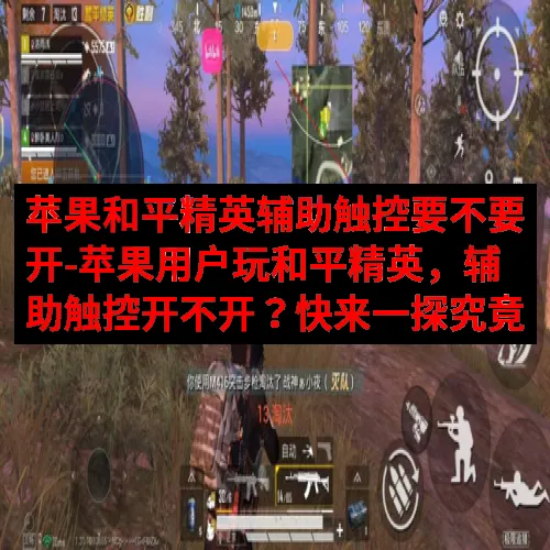 苹果和平精英辅助触控要不要开-苹果用户玩和平精英，辅助触控开不开？快来一探究竟
